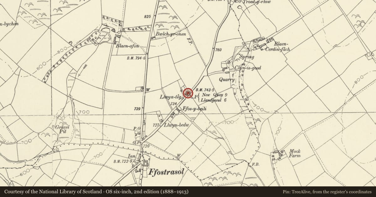 Ordnance Survey six-inch map, 2nd edition (1888–1913) covering the location of Milepost on A486, Troedyraur, Ceredigion, with a pin at the register's coordinates