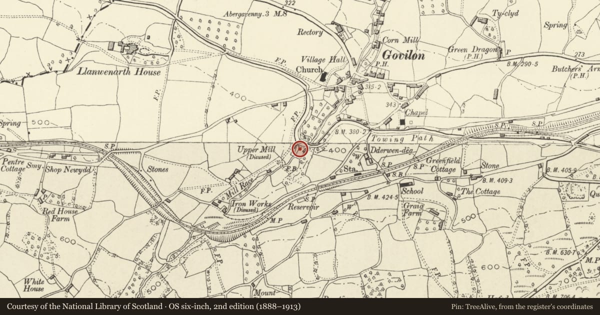 Ordnance Survey six-inch map, 2nd edition (1888–1913) covering the location of Dry Dock to W of embanked Aqueduct, Llanfoist Fawr, Monmouthshire, with a pin at the register's coordinates