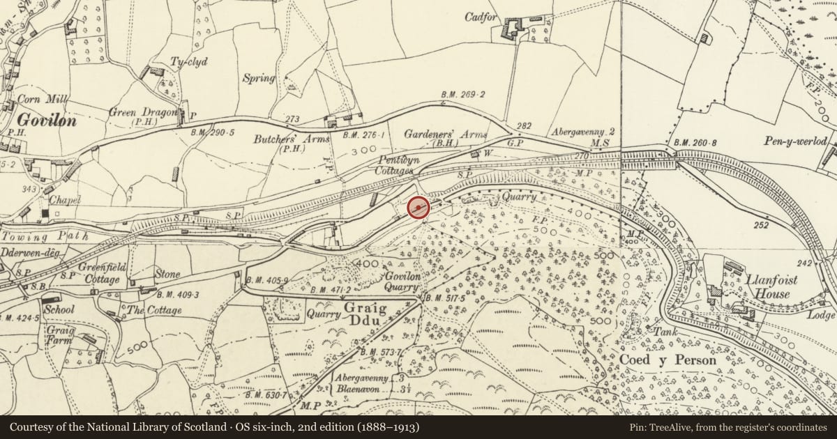 Ordnance Survey six-inch map, 2nd edition (1888–1913) covering the location of Bank of three Limekilns to rear of Kiln Lodge, Llanfoist Fawr, Monmouthshire, with a pin at the register's coordinates