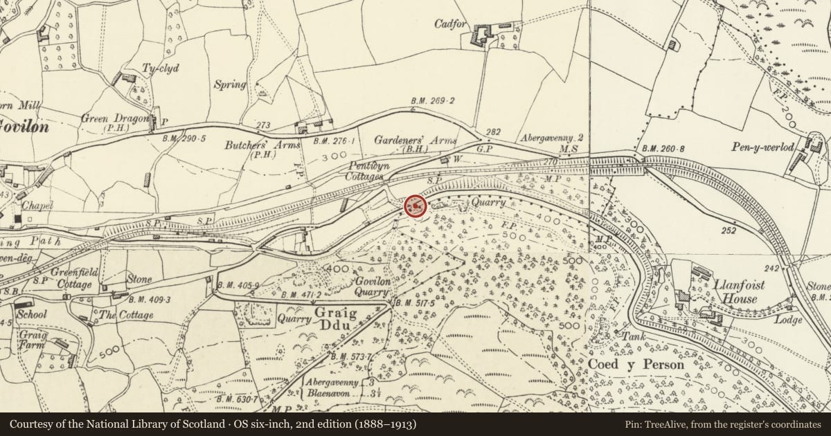 Ordnance Survey six-inch map, 2nd edition (1888–1913) covering the location of Quarry Bridge (Canal Bridge no 96), Llanfoist Fawr, Monmouthshire, with a pin at the register's coordinates