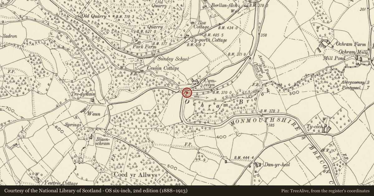 Ordnance Survey six-inch map, 2nd edition (1888–1913) covering the location of Embanked Aqueduct over Ochram Brook, Llanfoist Fawr, Monmouthshire, with a pin at the register's coordinates