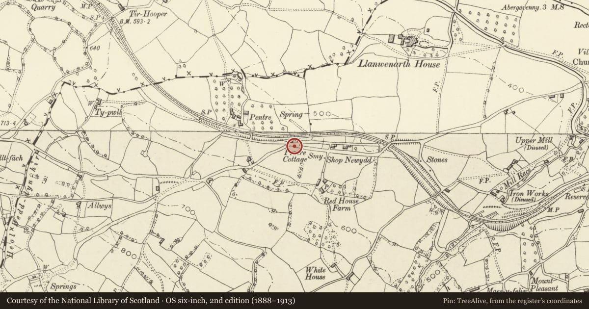 Ordnance Survey six-inch map, 2nd edition (1888–1913) covering the location of Signpost at junction of by-roads to east of Twyn Allws, Llanfoist Fawr, Monmouthshire, with a pin at the register's coordinates