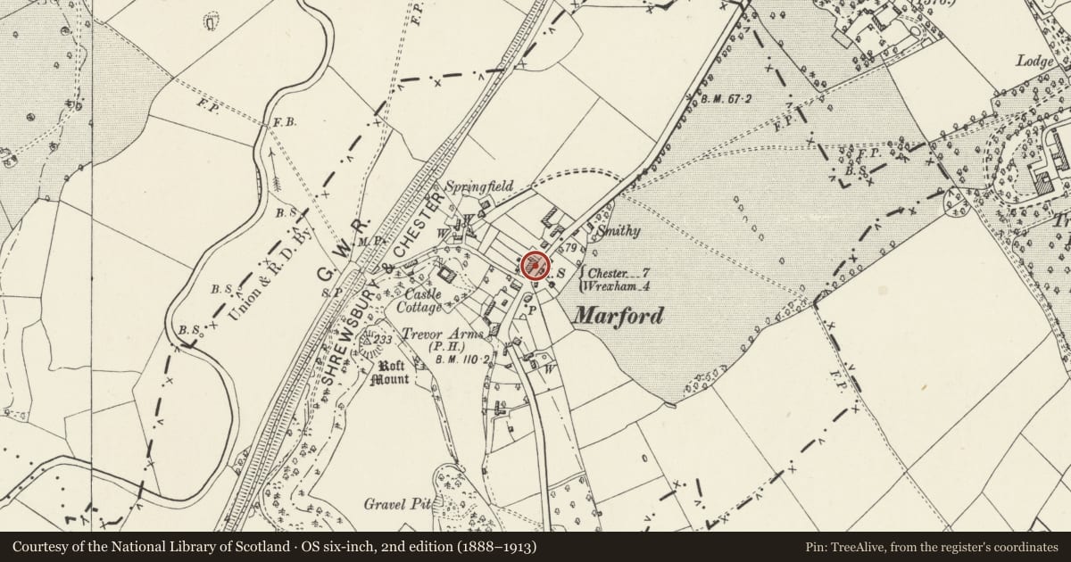 Ordnance Survey six-inch map, 2nd edition (1888–1913) covering the location of Primrose Cottage, Gresford, Wrexham, with a pin at the register's coordinates