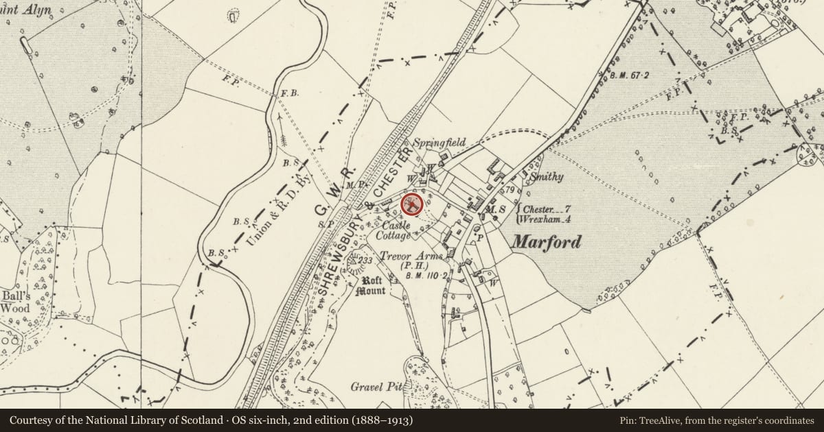 Ordnance Survey six-inch map, 2nd edition (1888–1913) covering the location of Courtyard Walls and three gazebos to rear of Roft Castle House, Gresford, Wrexham, with a pin at the register's coordinates