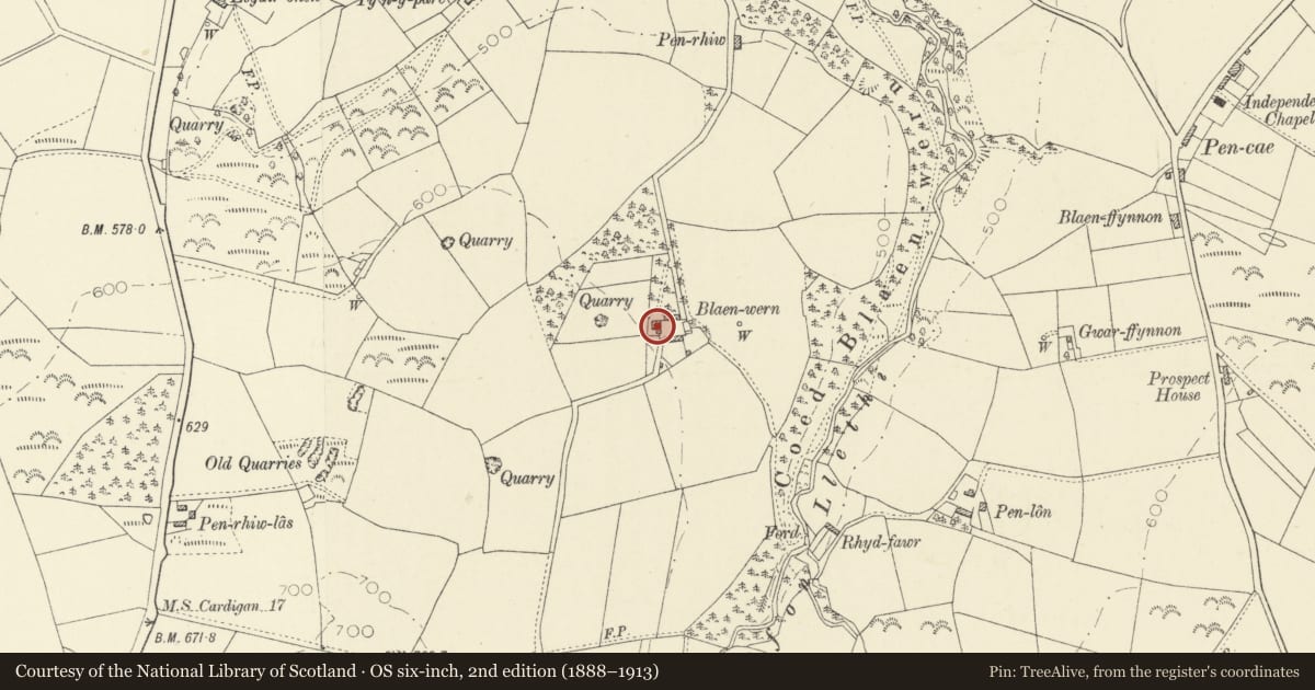 Ordnance Survey six-inch map, 2nd edition (1888–1913) covering the location of Blaenwern, Llanarth, Ceredigion, with a pin at the register's coordinates