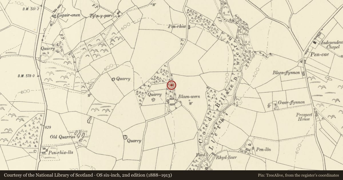 Ordnance Survey six-inch map, 2nd edition (1888–1913) covering the location of Entrance Gates and Railings at Blaenwern, Llanarth, Ceredigion, with a pin at the register's coordinates