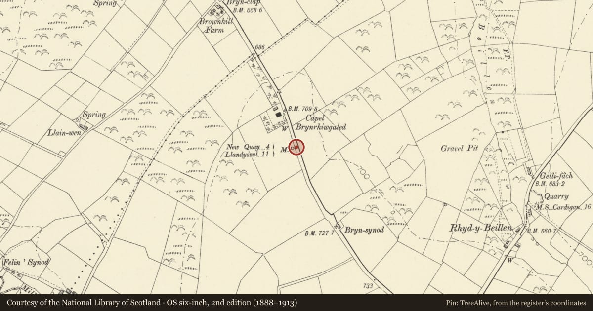 Ordnance Survey six-inch map, 2nd edition (1888–1913) covering the location of Milepost on A486, Llanarth, Ceredigion, with a pin at the register's coordinates