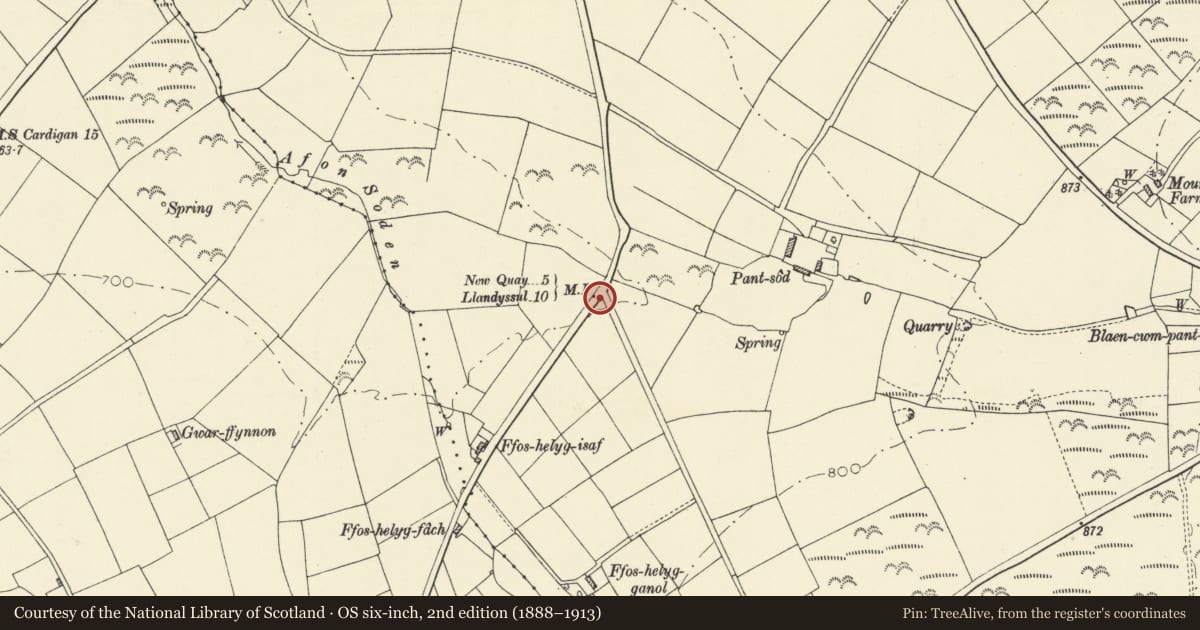 Ordnance Survey six-inch map, 2nd edition (1888–1913) covering the location of Milepost 1km S on A486, Llanarth, Ceredigion, with a pin at the register's coordinates