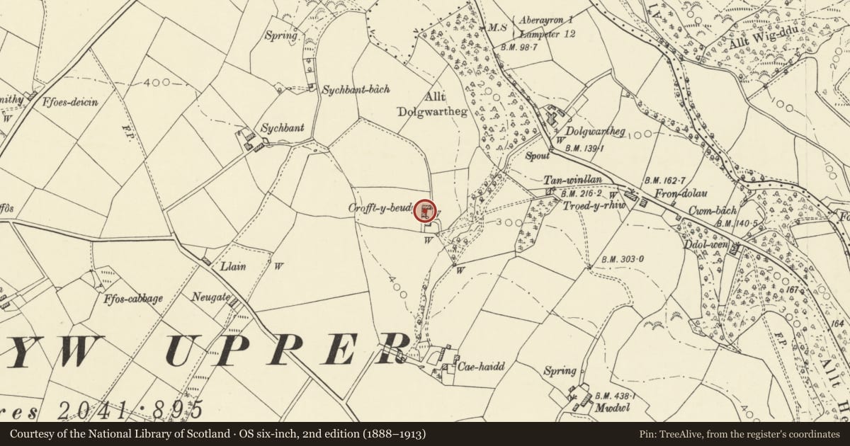 Ordnance Survey six-inch map, 2nd edition (1888–1913) covering the location of Crofftybeudy, Henfynyw, Ceredigion, with a pin at the register's coordinates