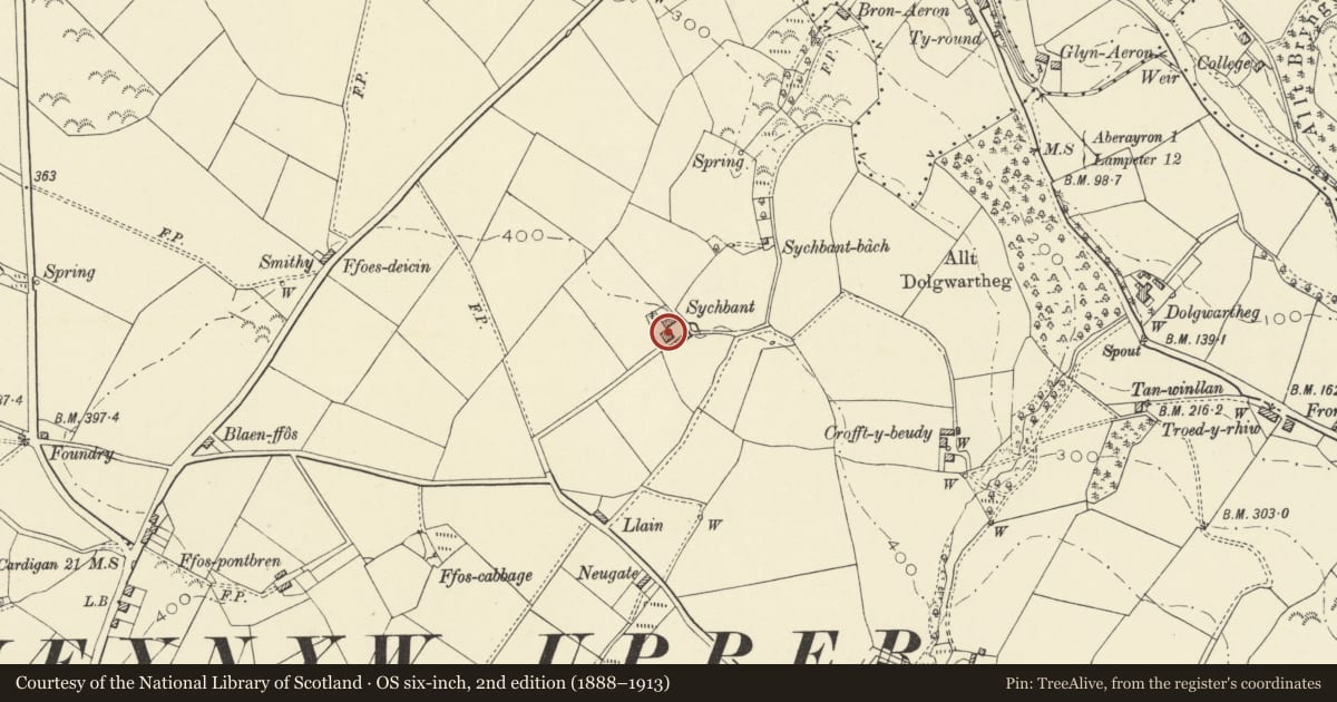 Ordnance Survey six-inch map, 2nd edition (1888–1913) covering the location of Sychpant, Henfynyw, Ceredigion, with a pin at the register's coordinates
