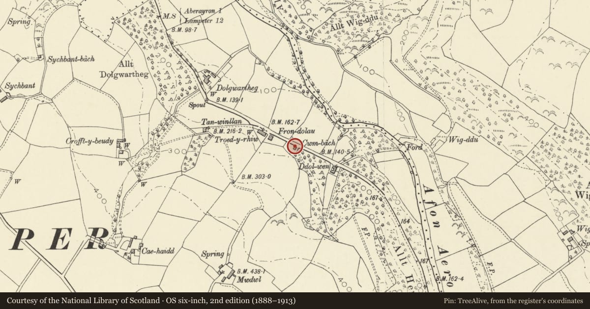 Ordnance Survey six-inch map, 2nd edition (1888–1913) covering the location of Alltwen, Henfynyw, Ceredigion, with a pin at the register's coordinates