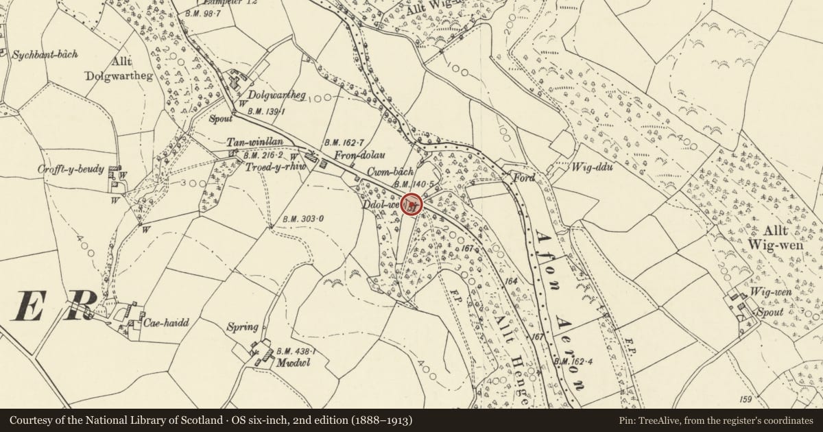 Ordnance Survey six-inch map, 2nd edition (1888–1913) covering the location of Ddolwen, Henfynyw, Ceredigion, with a pin at the register's coordinates