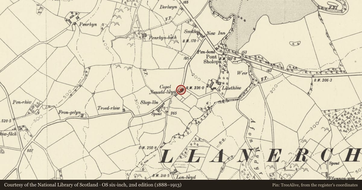 Ordnance Survey six-inch map, 2nd edition (1888–1913) covering the location of Enclosure Railings to Capel Neuaddlwyd, Henfynyw, Ceredigion, with a pin at the register's coordinates