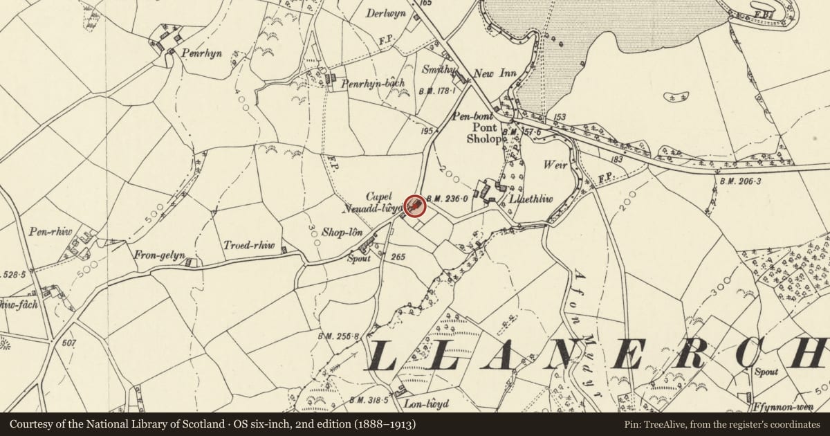Ordnance Survey six-inch map, 2nd edition (1888–1913) covering the location of Vestry and Coach-house to Capel Neuaddlwyd, Henfynyw, Ceredigion, with a pin at the register's coordinates