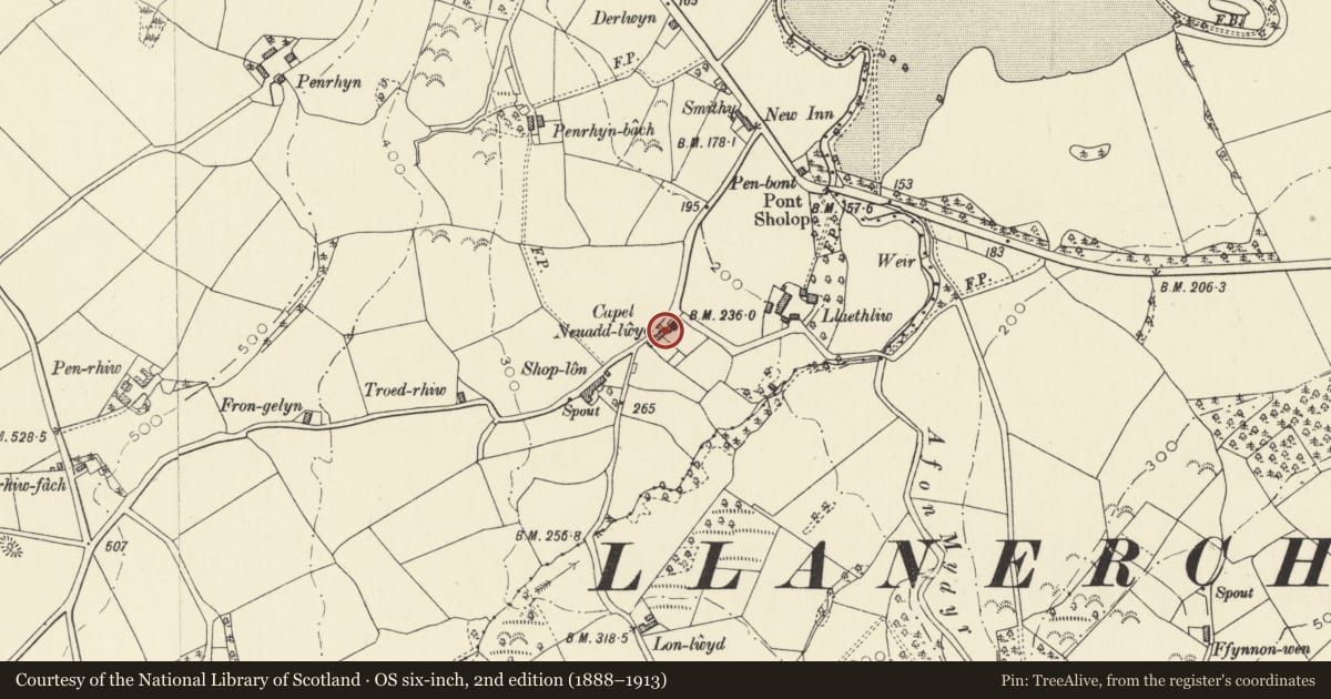 Ordnance Survey six-inch map, 2nd edition (1888–1913) covering the location of Ty Capel, Henfynyw, Ceredigion, with a pin at the register's coordinates