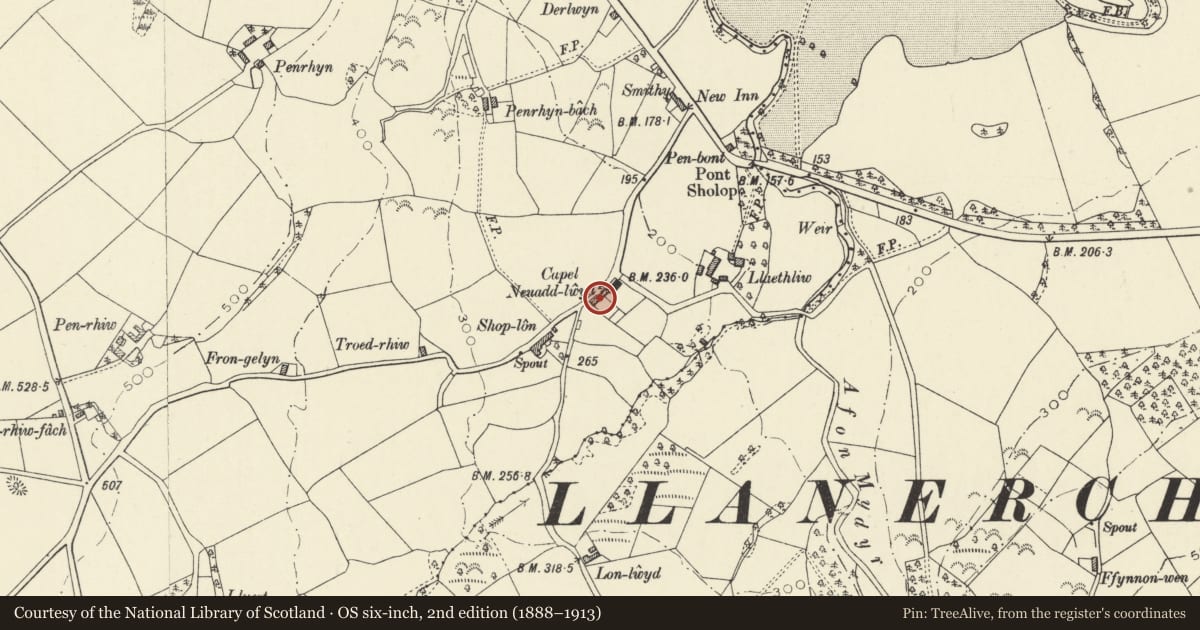 Ordnance Survey six-inch map, 2nd edition (1888–1913) covering the location of Siop Fach (First Cottage), Henfynyw, Ceredigion, with a pin at the register's coordinates