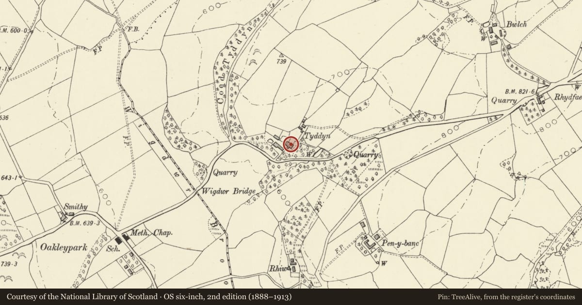 Ordnance Survey six-inch map, 2nd edition (1888–1913) covering the location of Tyddyn Cottage, Llandinam, Powys, with a pin at the register's coordinates