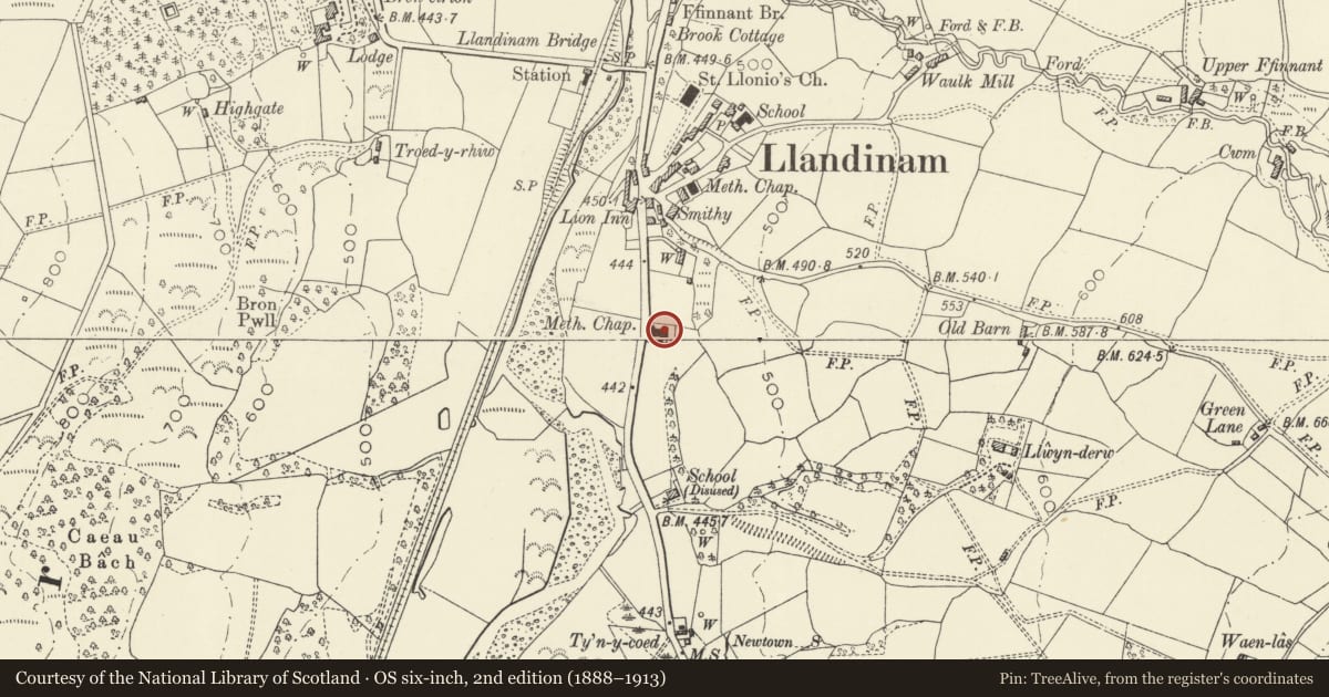 Ordnance Survey six-inch map, 2nd edition (1888–1913) covering the location of Llandinam Presbyterian Church with front enclosing railed wall, Powys, with a pin at the register's coordinates