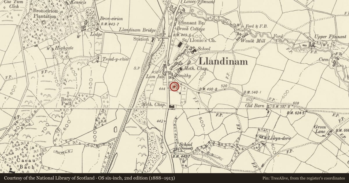 Ordnance Survey six-inch map, 2nd edition (1888–1913) covering the location of 1 Trelonydd, Llandinam, Powys, with a pin at the register's coordinates