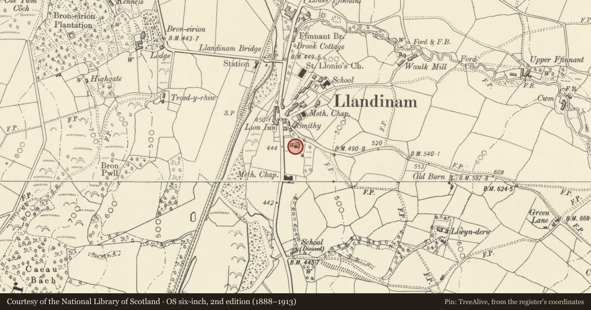 Ordnance Survey six-inch map, 2nd edition (1888–1913) covering the location of 2 Trelonydd, Llandinam, Powys, with a pin at the register's coordinates