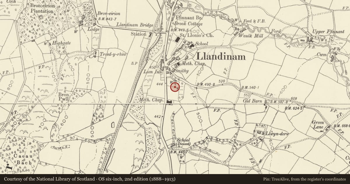 Ordnance Survey six-inch map, 2nd edition (1888–1913) covering the location of 3 Trelonydd, Llandinam, Powys, with a pin at the register's coordinates