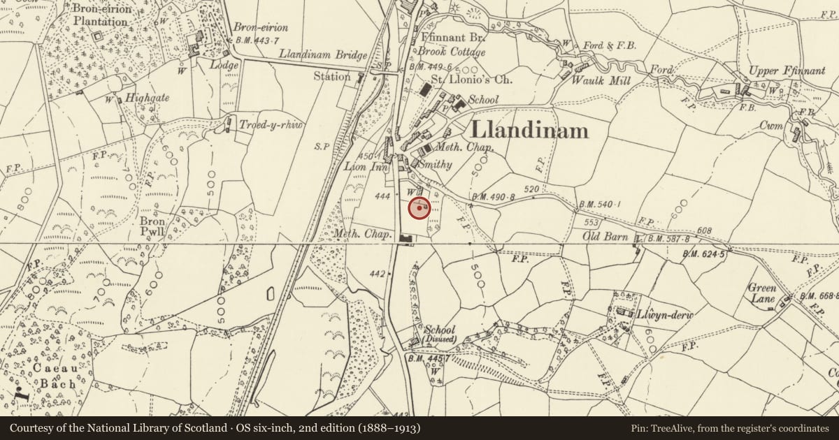 Ordnance Survey six-inch map, 2nd edition (1888–1913) covering the location of 4 Trelonydd, Llandinam, Powys, with a pin at the register's coordinates