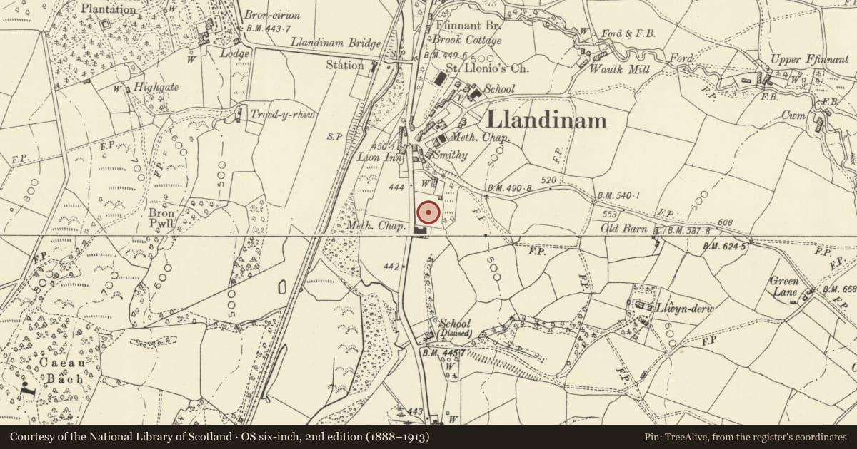 Ordnance Survey six-inch map, 2nd edition (1888–1913) covering the location of 6 Trelonydd, Llandinam, Powys, with a pin at the register's coordinates