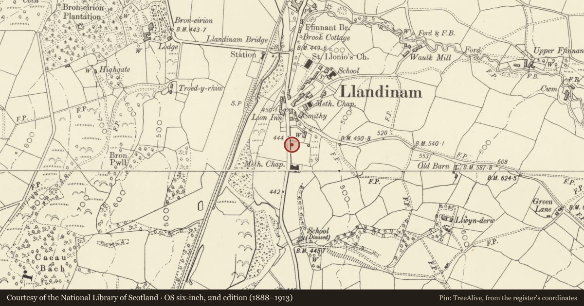 Ordnance Survey six-inch map, 2nd edition (1888–1913) covering the location of Trelonydd War Memorial, Llandinam, Powys, with a pin at the register's coordinates