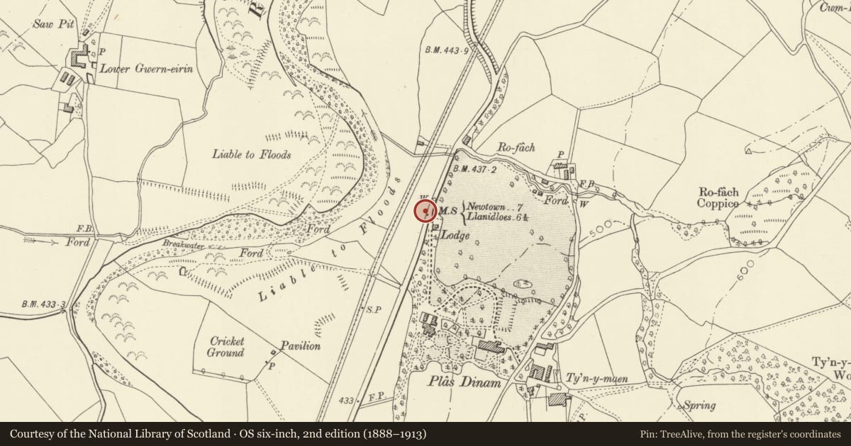 Ordnance Survey six-inch map, 2nd edition (1888–1913) covering the location of Milestone opposite Lodge to Plâs Dinam, Llandinam, Powys, with a pin at the register's coordinates