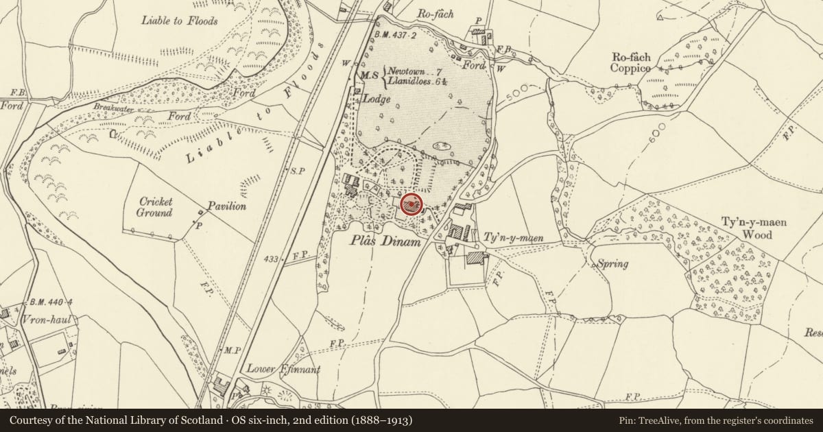 Ordnance Survey six-inch map, 2nd edition (1888–1913) covering the location of Plâs Dinam, Llandinam, Powys, with a pin at the register's coordinates