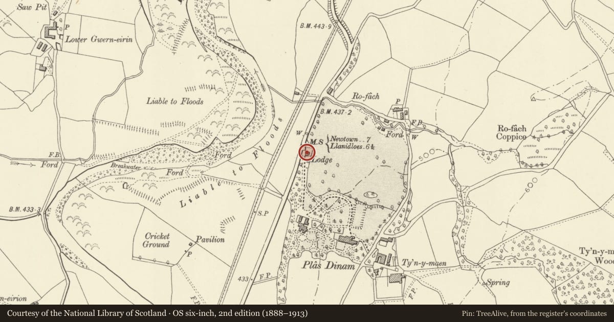 Ordnance Survey six-inch map, 2nd edition (1888–1913) covering the location of Lodge to Plâs Dinam, Llandinam, Powys, with a pin at the register's coordinates
