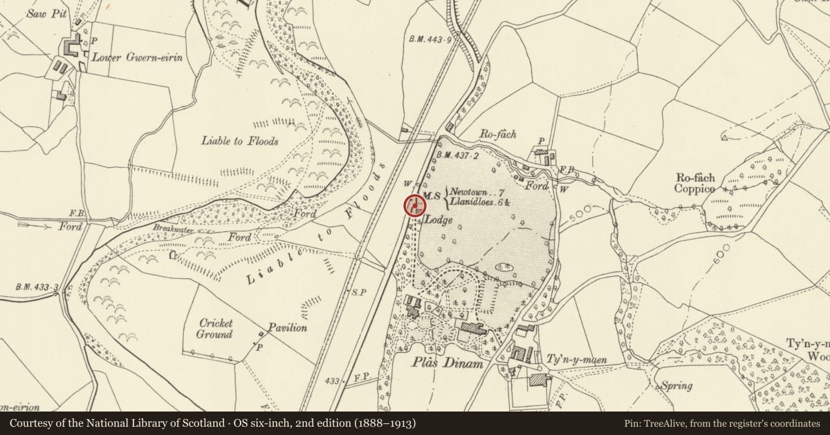 Ordnance Survey six-inch map, 2nd edition (1888–1913) covering the location of Gate piers, gates and retaining walls to entrance to Plâs Dinam, Llandinam, Powys, with a pin at the register's coordinates