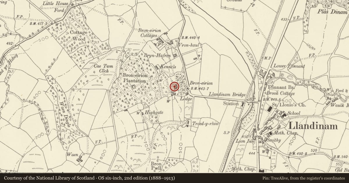 Ordnance Survey six-inch map, 2nd edition (1888–1913) covering the location of Broneirion, Llandinam, Powys, with a pin at the register's coordinates