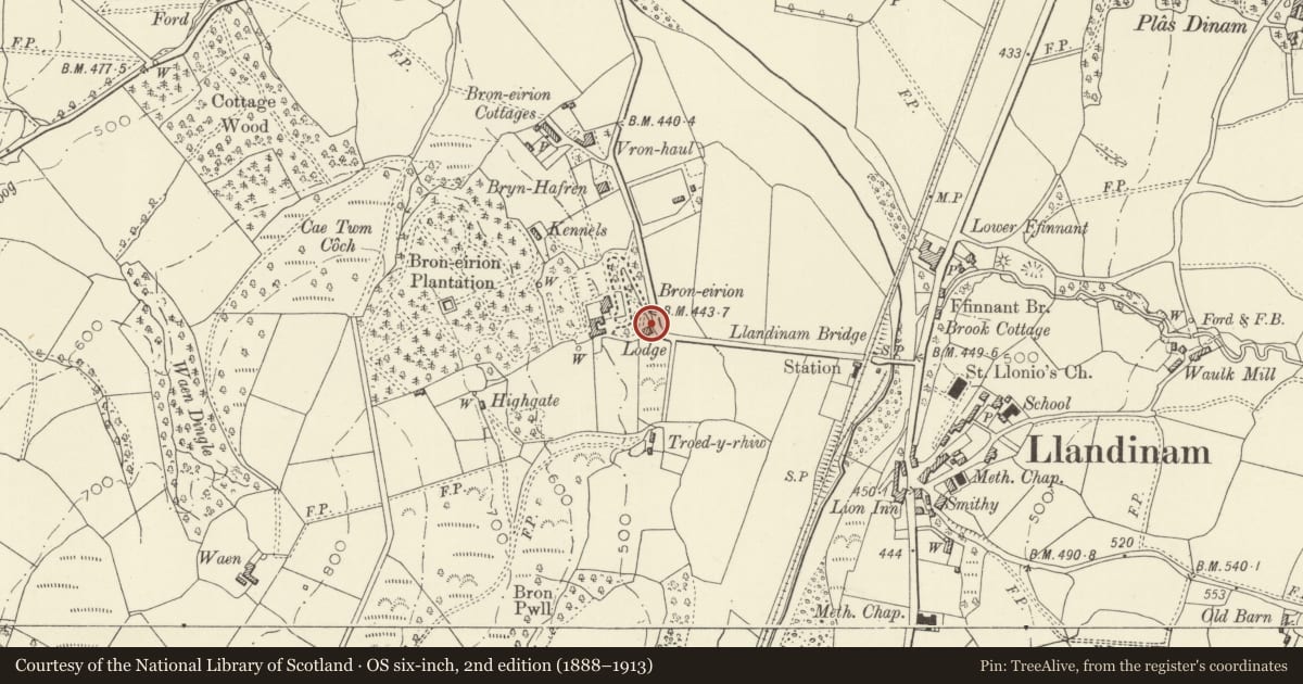Ordnance Survey six-inch map, 2nd edition (1888–1913) covering the location of Retaining walls, gates and piers to Broneirion, Llandinam, Powys, with a pin at the register's coordinates