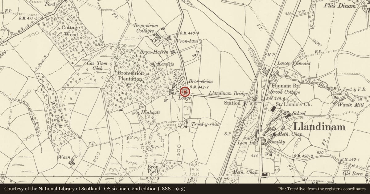 Ordnance Survey six-inch map, 2nd edition (1888–1913) covering the location of Broneirion Lodge, Llandinam, Powys, with a pin at the register's coordinates