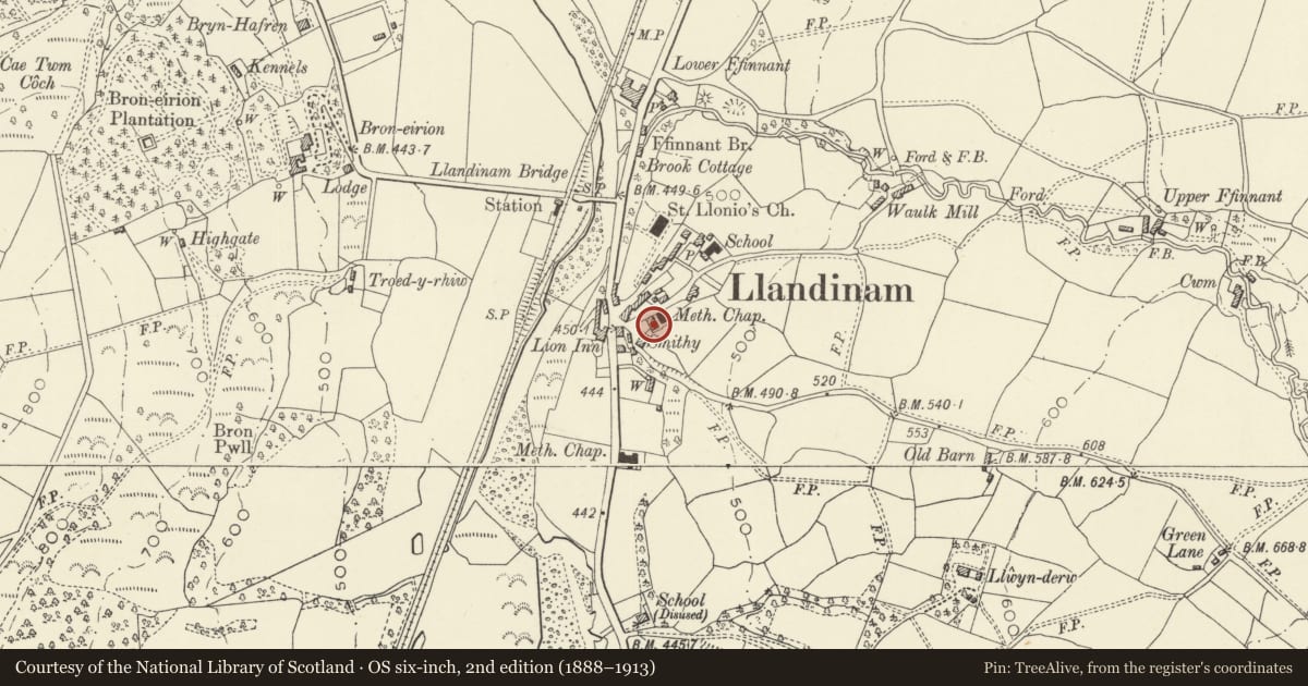 Ordnance Survey six-inch map, 2nd edition (1888–1913) covering the location of Llandinam Institute, Powys, with a pin at the register's coordinates