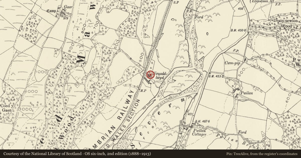 Ordnance Survey six-inch map, 2nd edition (1888–1913) covering the location of Neuaddllwyd, Llandinam, Powys, with a pin at the register's coordinates