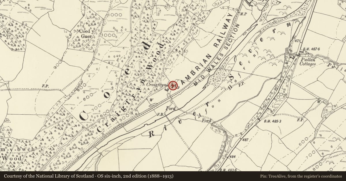 Ordnance Survey six-inch map, 2nd edition (1888–1913) covering the location of Craigiryn, Llandinam, Powys, with a pin at the register's coordinates