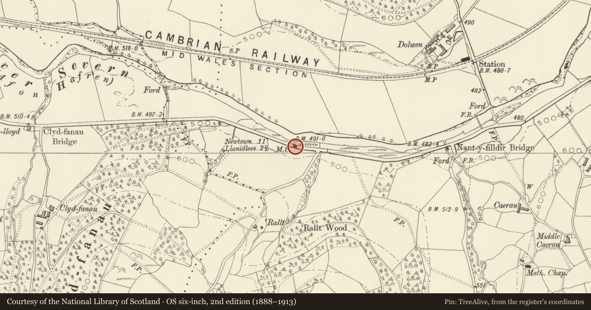 Ordnance Survey six-inch map, 2nd edition (1888–1913) covering the location of Milestone W of Maesyderwyn Lane, Llandinam, Powys, with a pin at the register's coordinates
