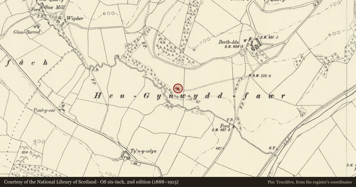 Ordnance Survey six-inch map, 2nd edition (1888–1913) covering the location of Berth-ddu barn, Llandinam, Powys, with a pin at the register's coordinates