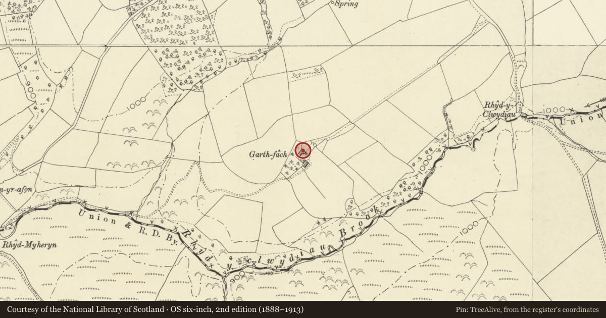 Ordnance Survey six-inch map, 2nd edition (1888–1913) covering the location of Garth-fach, Llandinam, Powys, with a pin at the register's coordinates
