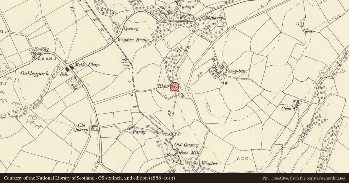 Ordnance Survey six-inch map, 2nd edition (1888–1913) covering the location of Rhiew, Llandinam, Powys, with a pin at the register's coordinates