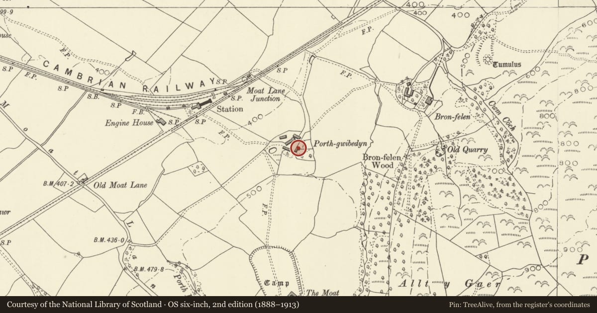 Ordnance Survey six-inch map, 2nd edition (1888–1913) covering the location of Porth-gwibedyn, Llandinam, Powys, with a pin at the register's coordinates