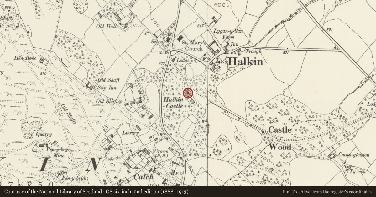 Ordnance Survey six-inch map, 2nd edition (1888–1913) covering the location of Halkyn Castle and attached Stable Block, Flintshire, with a pin at the register's coordinates
