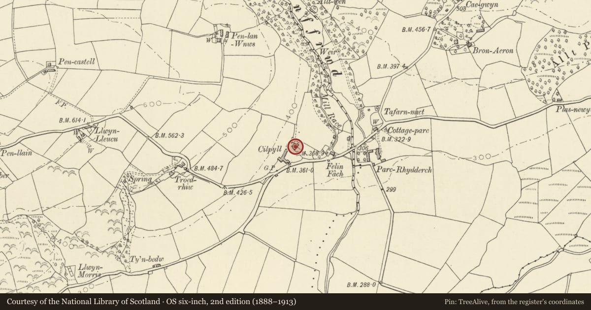 Ordnance Survey six-inch map, 2nd edition (1888–1913) covering the location of Cilpyll Farmhouse, Nantcwnlle, Ceredigion, with a pin at the register's coordinates