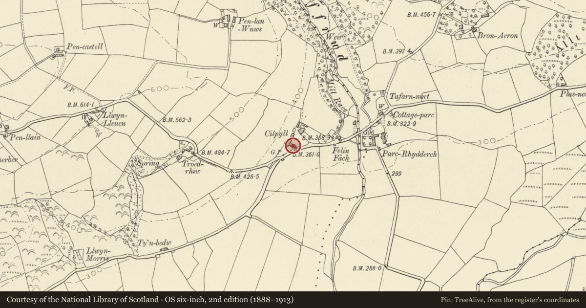 Ordnance Survey six-inch map, 2nd edition (1888–1913) covering the location of Barn at Cilpyll Farm, Nantcwnlle, Ceredigion, with a pin at the register's coordinates
