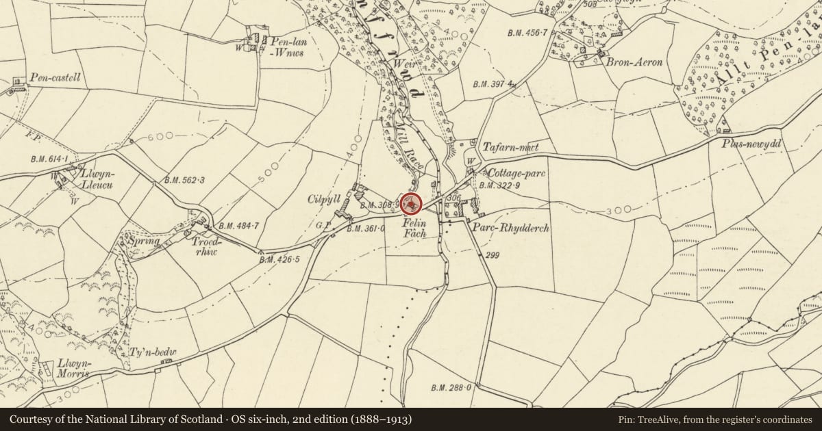 Ordnance Survey six-inch map, 2nd edition (1888–1913) covering the location of Felin Fach, Nantcwnlle, Ceredigion, with a pin at the register's coordinates