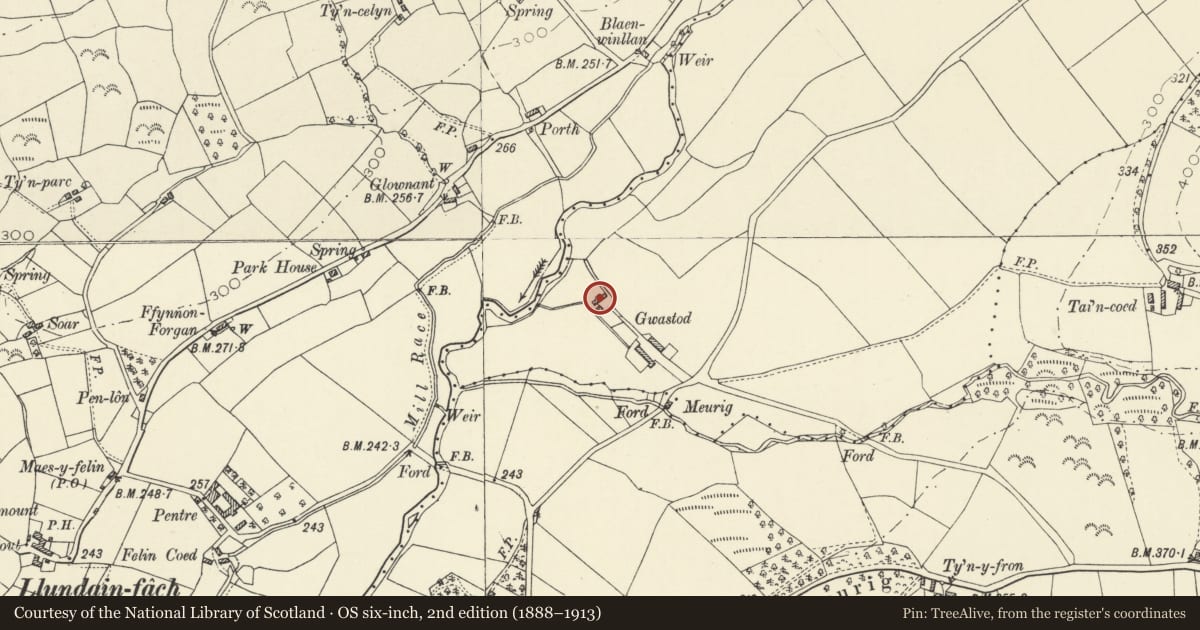Ordnance Survey six-inch map, 2nd edition (1888–1913) covering the location of Dolwerdd, Nantcwnlle, Ceredigion, with a pin at the register's coordinates