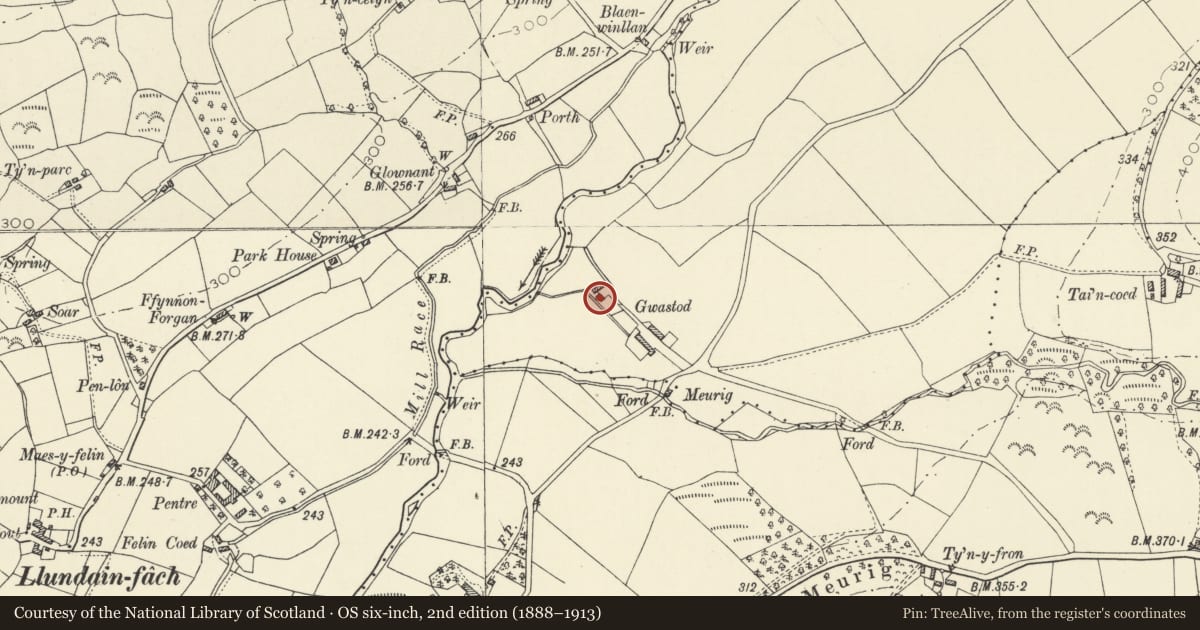 Ordnance Survey six-inch map, 2nd edition (1888–1913) covering the location of Outbuilding at Dolwerdd, Nantcwnlle, Ceredigion, with a pin at the register's coordinates
