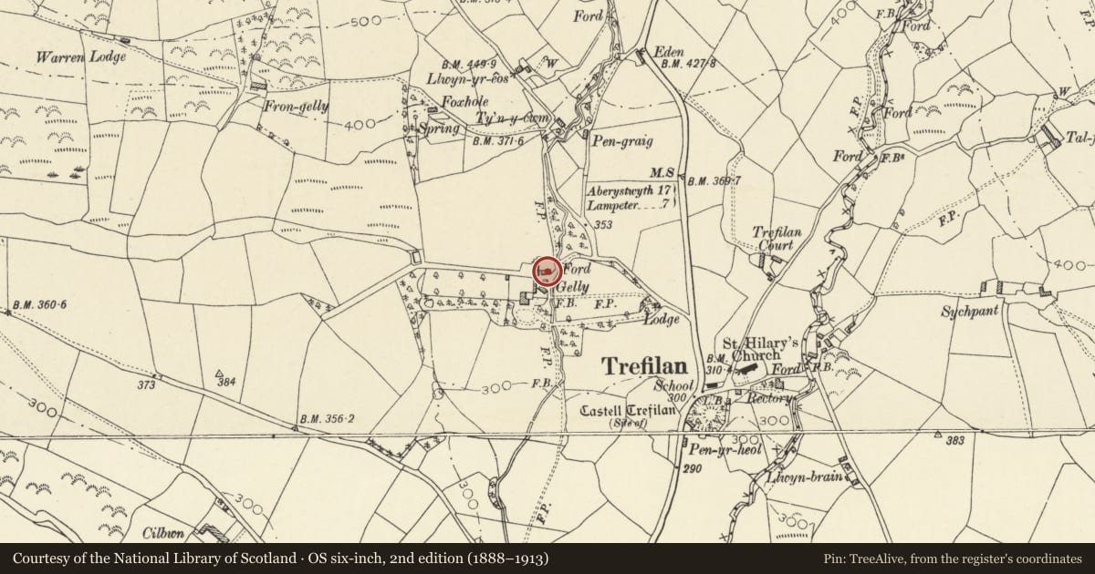 Ordnance Survey six-inch map, 2nd edition (1888–1913) covering the location of Outbuilding on N side of farmyard at Gelli, Nantcwnlle, Ceredigion, with a pin at the register's coordinates